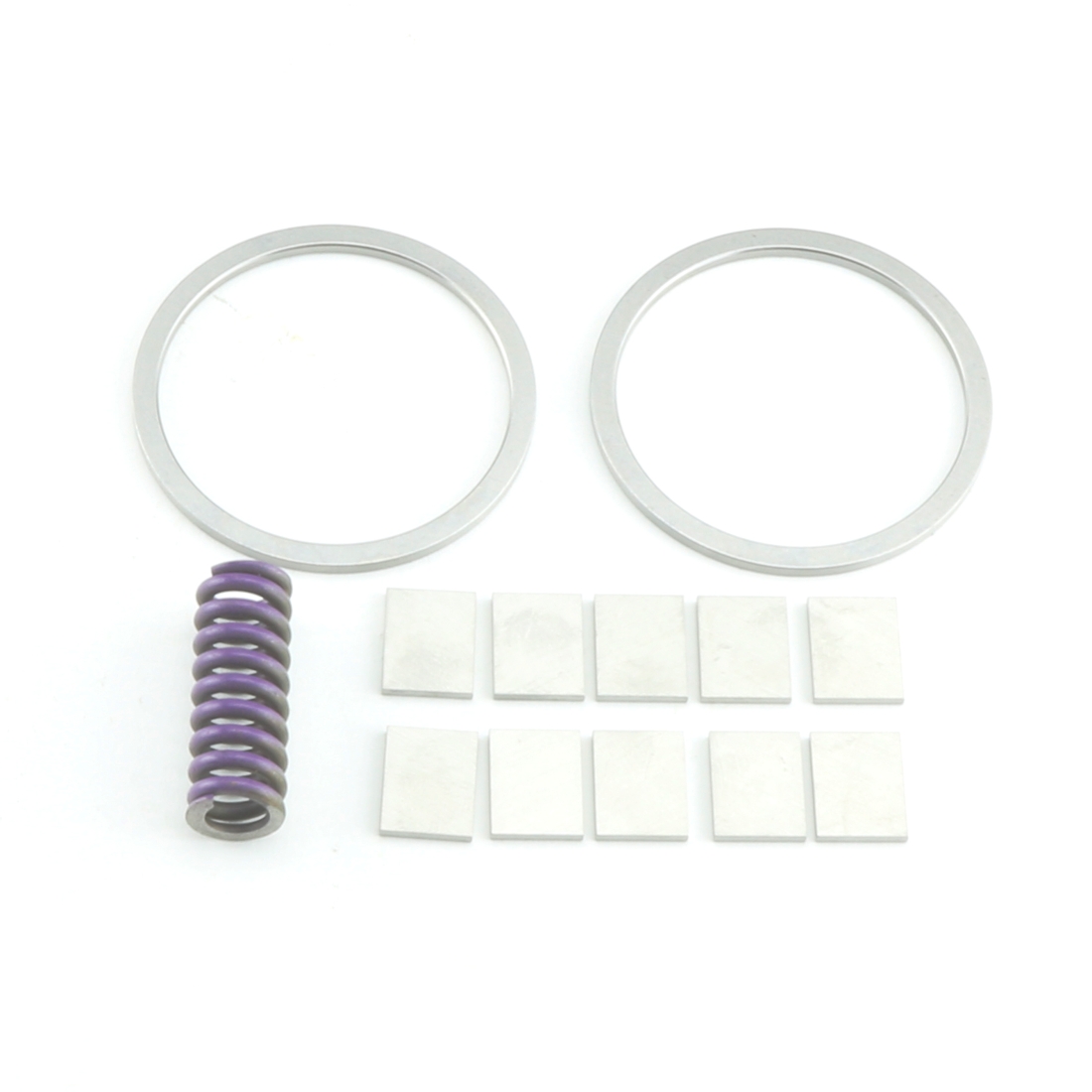 COA-92810 - HI PERFORMANCE PUMP ROTOR KIT (INCLUDES ROTOR, GUIDE, RINGS, SLIDE SPRING, 10 VANES)-6228